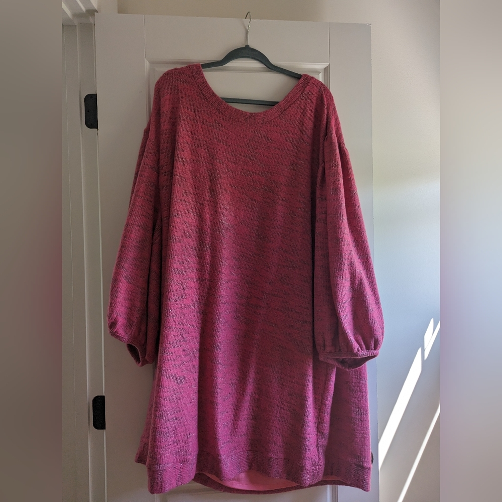 Anthropologie Sweat Dress